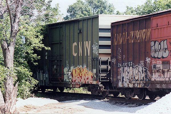 125.jpg - C&NW box car on a Salt Company siding at Kenosha in August 2008.