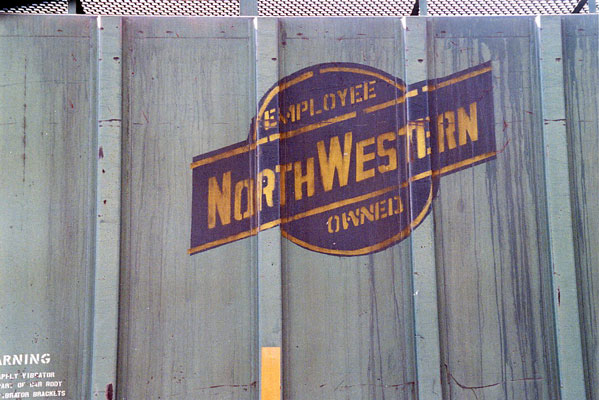 194.jpg - Another one at Jones Island, November 2010.