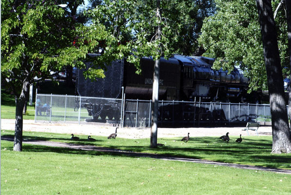 230.jpg - This UP "Big Boy," a 4-8-8-4,  is on display at Cheyenne, WY.